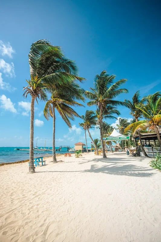 Best Beaches In Ambergris Caye For Swimming & Snorkeling 64 Looking down the sandy shore of Central Park Beach with palm trees swaying in Ambergris Caye.