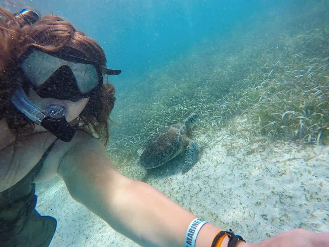 Best Beaches In Ambergris Caye For Swimming & Snorkeling 66 Tasha Amy taking a selfie with a turtle while snorkeling in Hol Chan Marine Reserve near Ambergris Caye.