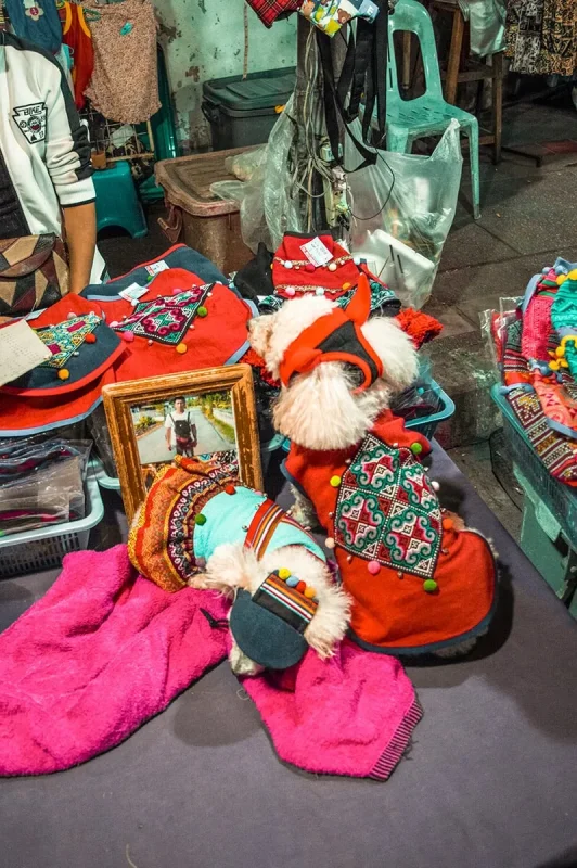 two poodles dressed in Thai dog outfits for sale at the Sunday Market Chiang Mai.