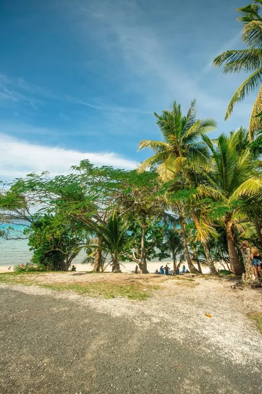 where the road meets the palm trees on Easo Beach in Lifou, New Caledonia.