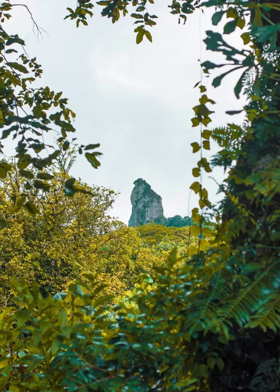 Scooter Hire In Rarotonga: Cost, Requirements, And Tips 20 The famous Needle Rock in Rarotonga framed by jungle
