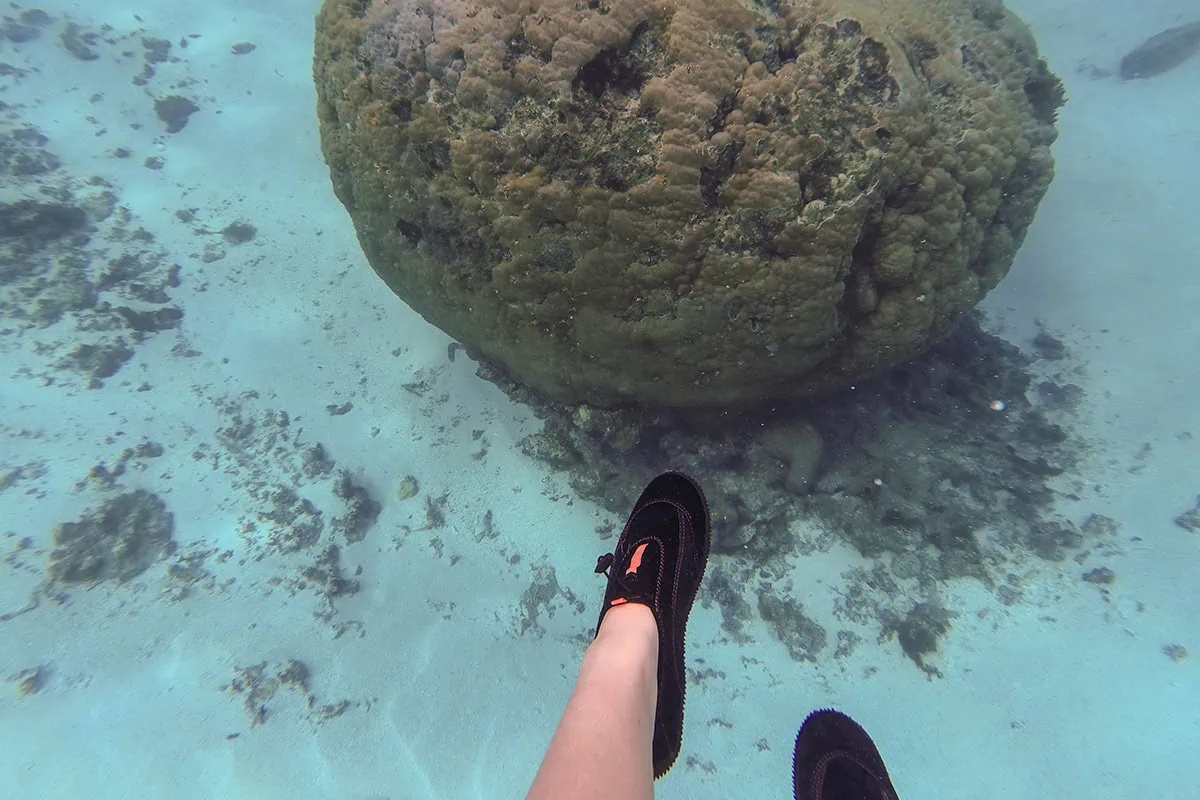 Best Things To Do On Mystery Island, Vanuatu, For Cruise Passengers 16 Tasha Amy swimming in the deep water off Mystery Island with her reef shoes on