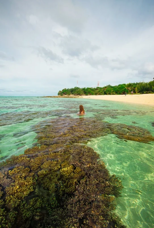 Best Things To Do On Mystery Island, Vanuatu, For Cruise Passengers 13 Back view of Tasha Amy in the shallow coral filled waters along Mystery Island’s shoreline