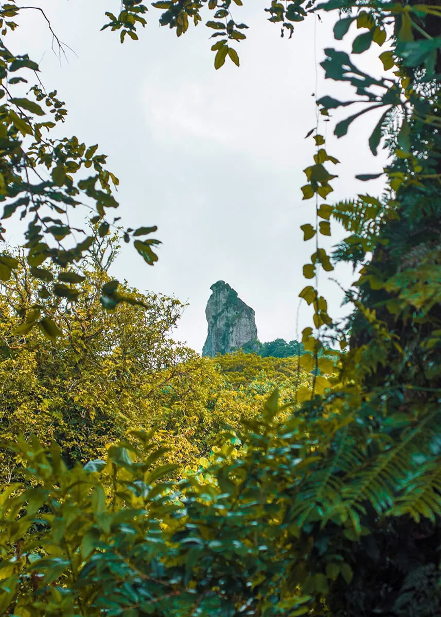 Tourist Scooter License In Rarotonga: Tests, Cost, and What To Expect 17 Impressive view of The Needle sticking up through the jungle in Rarotonga