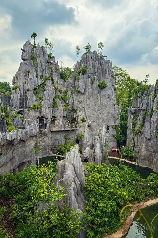 Rainforest Wild Adventure Review: My Honest Guide 15 The rock wall climb with the Francois langurs enclosure in front of it at Rainforest Wild in Singapore