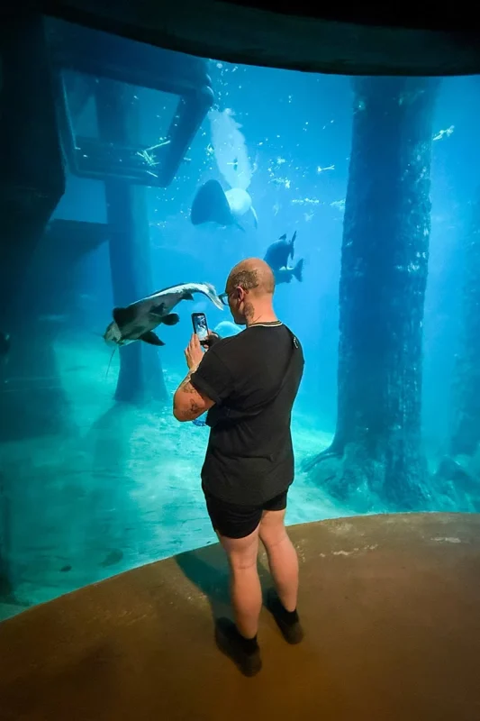 River Wonders Singapore Review: Is It Worth Visiting? 17 A man standing in front of the tank at the Flooded Forest in River Wonders