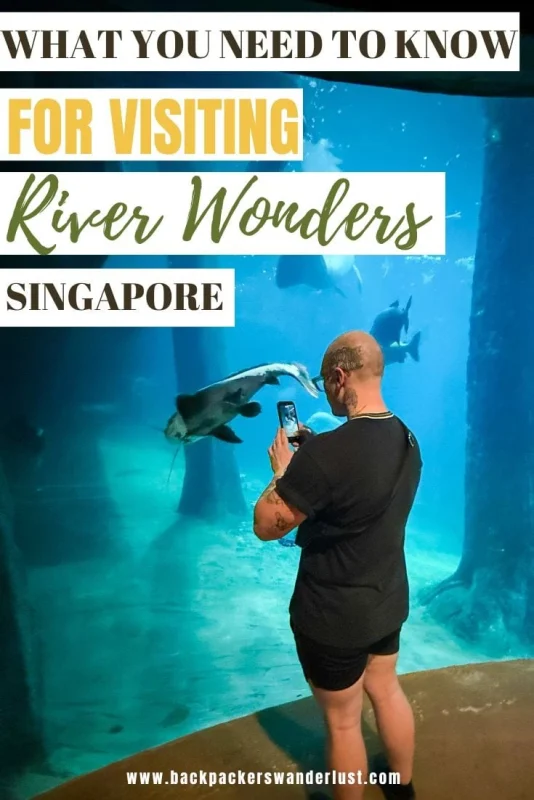 River Wonders Singapore Review: Is It Worth Visiting? 24 Planning a visit to River Wonders Singapore and wondering if it’s worth the ticket price? Here’s my honest review, including the best things to see, what animals you can spot, and tips to make the most of your visit.