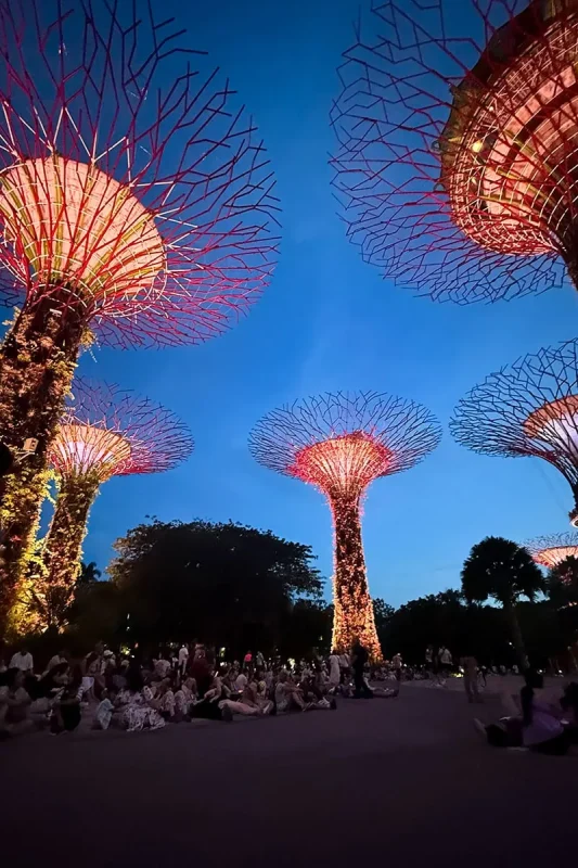 Spectra Light Show Singapore: Times, Best Views & Tips 22 Sitting down looking up at the Supertrees at Gardens by the Bay waiting for the light show to start