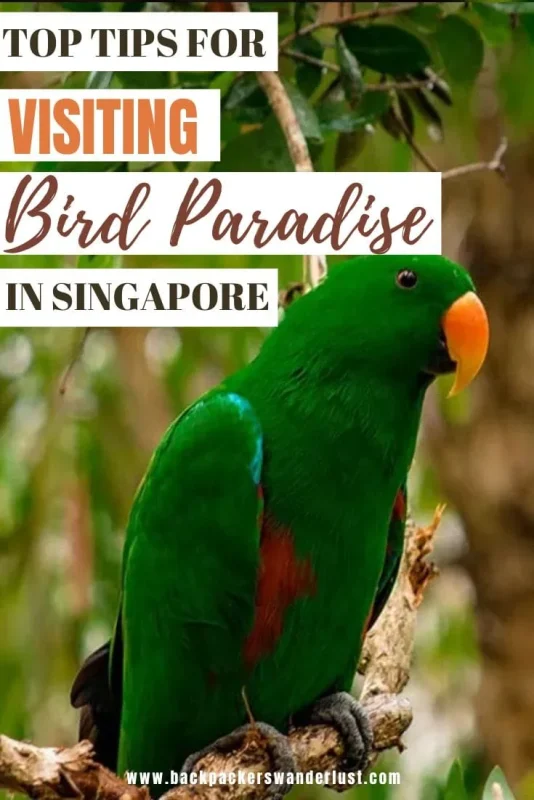 If you're wondering whether Bird Paradise Singapore is actually worth visiting, you've come to the right place. After spending the day exploring the park myself, here's my honest Bird Paradise Singapore review, including what to expect and whether I think it's worth the ticket price.