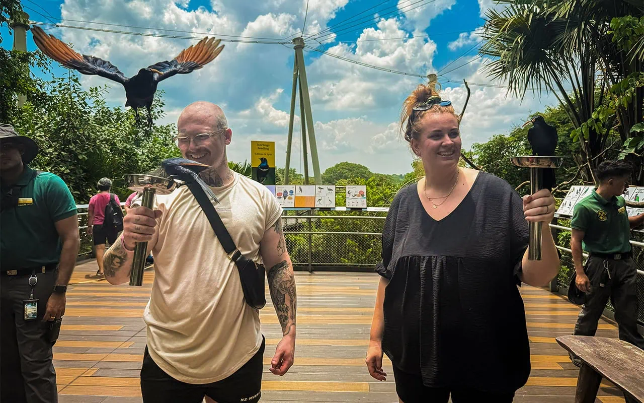 Bird Paradise Singapore: My Honest Review & Visitor Guide 5 Feeding the Starlings at Bird Paradise Singapore