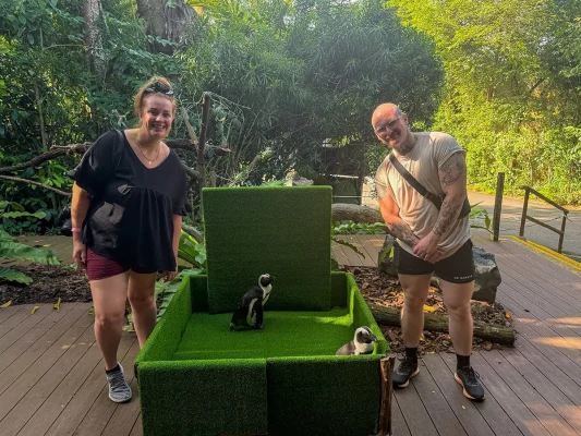 Hanging out with the penguins at Breakfast In The Wild Singapore Zoo