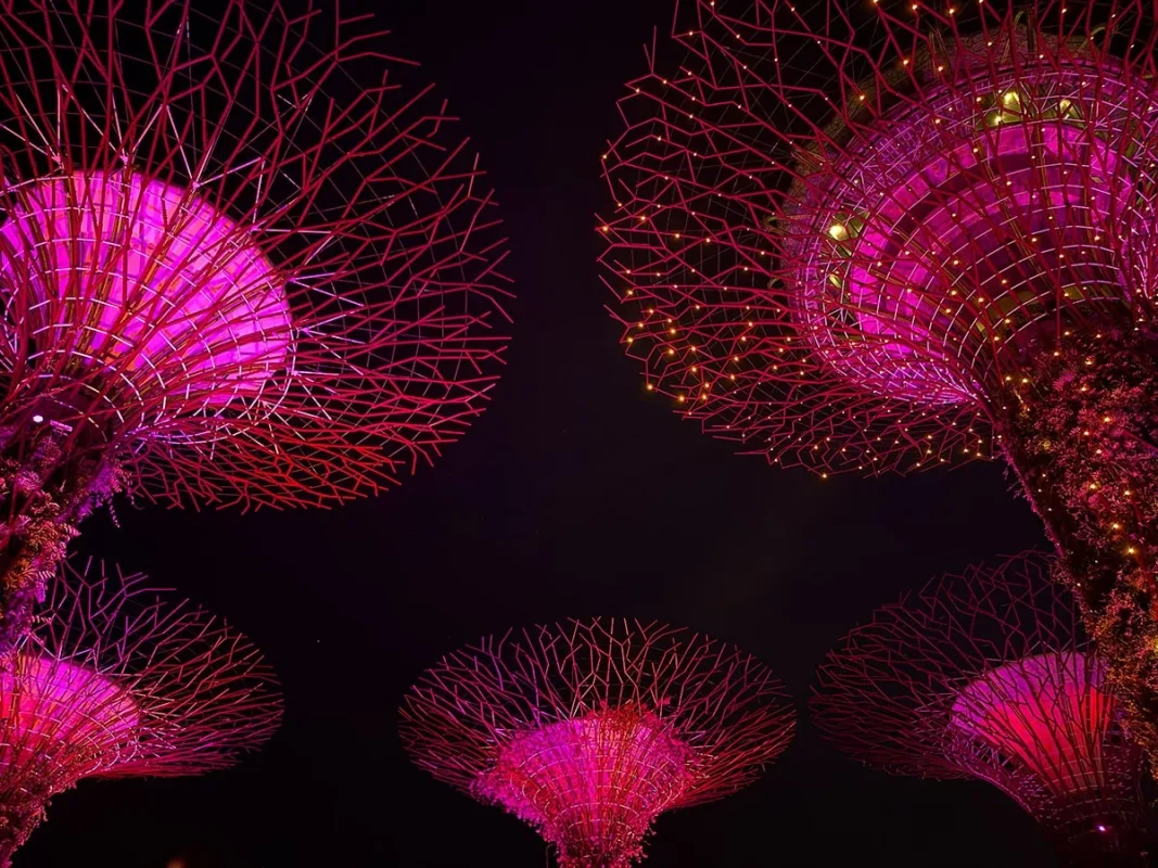 Gardens By The Bay Light Show: Times, Best Viewing Spots & Tips 2 Gardens by the Bay Supertrees illuminated during the Garden Rhapsody light show in Singapore