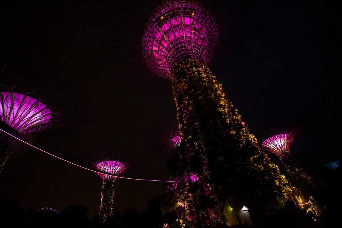 Gardens By The Bay Light Show: Times, Best Viewing Spots & Tips 14 Supertrees illuminated during the Garden Rhapsody light show with the OCBC Skyway at Gardens by the Bay