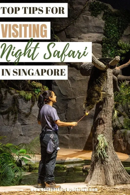 Keen to do something different in the evening? Well, Night Safari is easily one of Singapore’s most unique zoos, and a must-do. In this guide, I’ll share my honest review, what to expect, and my top tips for visiting.