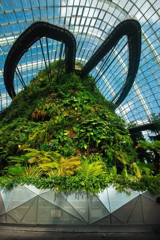 The Perfect 3 Days In Singapore Itinerary For First-Time Visitors 21 The walking trails around the mountain in the Cloud Forest Dome