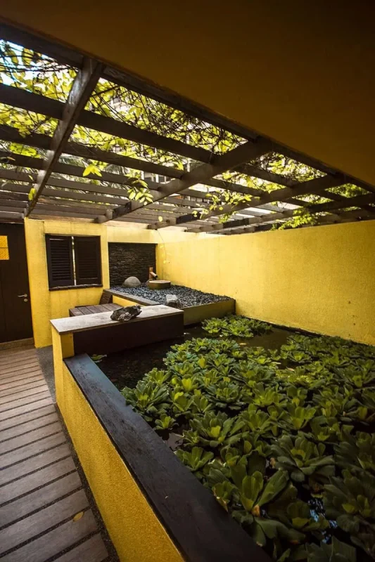 Furama RiverFront Review: What It’s Really Like To Stay Here 8 Leafy wooden pergola covering the private courtyard of our Furama RiverFront room