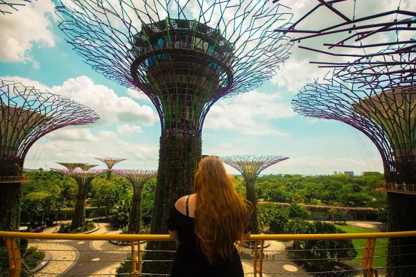Tasha Amy looking across Supertree Grove from the OCBC Skyway at Gardens By The Bay