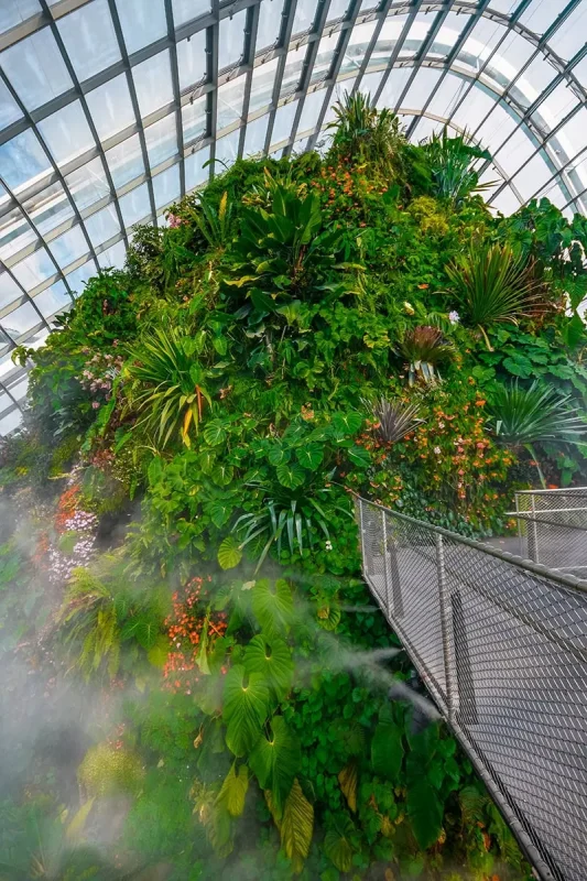 Gardens By The Bay Review: My Experience After Four Visits 26 Elevated walkway curving around the plant-covered Cloud Mountain inside Cloud Forest