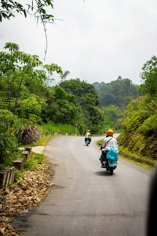 Easy Riders traveling along a winding forest road on the Ha Giang Loop