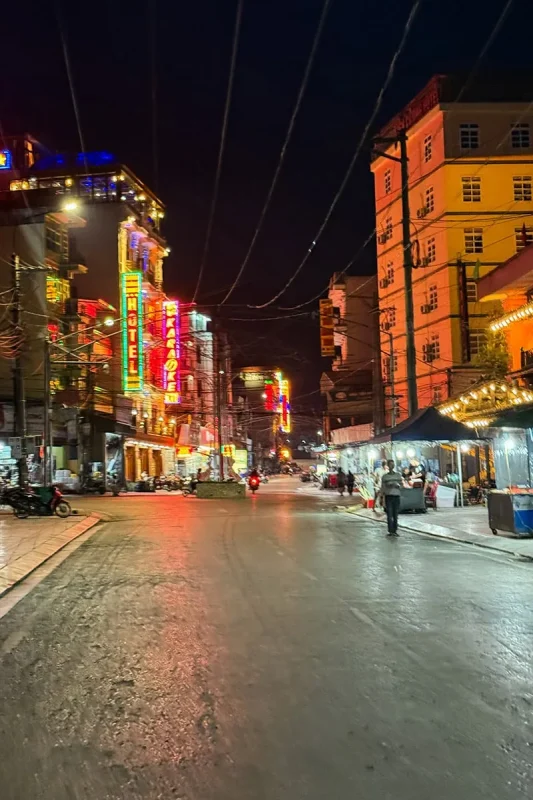 Hotel-lined street illuminated by neon signs at night in Meo Vac