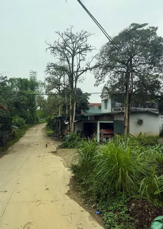 Hanoi Airport To Ha Giang: How To Get There 48 Driving through a village on the way from Hanoi to Ha Giang