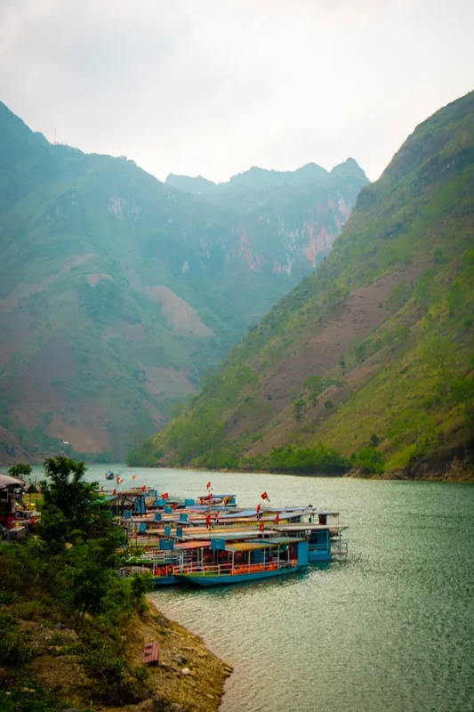 Nho Que River Boat Ride: Visiting While On The Ha Giang Loop 60 Passenger boats moored on the Nho Que River beneath the mountain valley